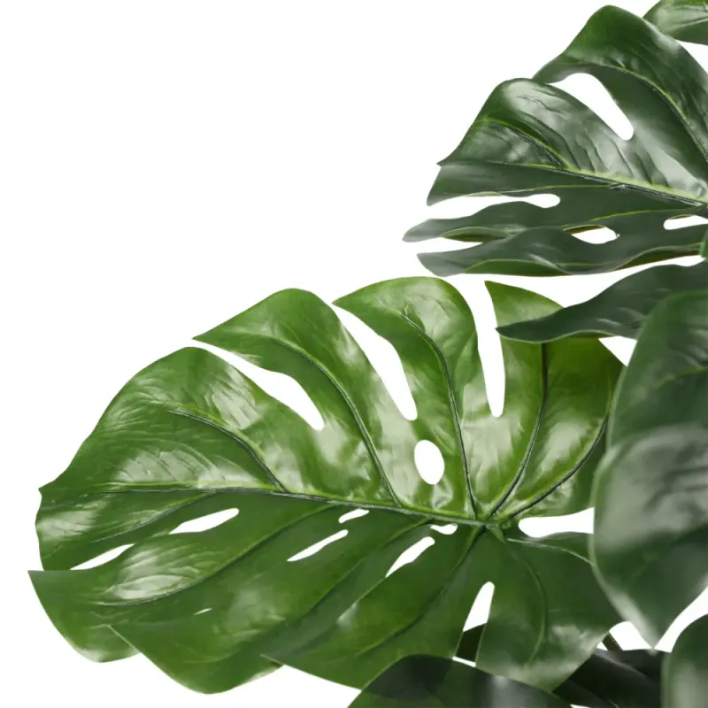 Monstera stor H 100